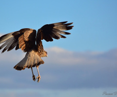Vertical take off