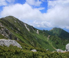 mountain green
