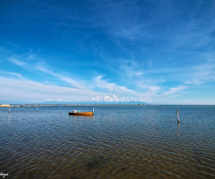 Yumurtalık