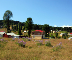 Hıdırnebi Yaylası 