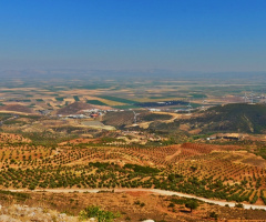 Amik Ovası