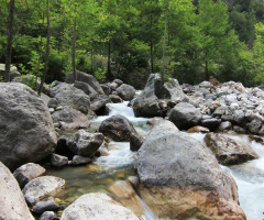 Huzur