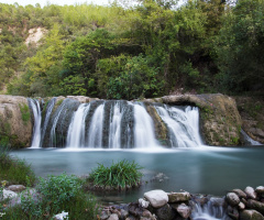 Şarlak 2