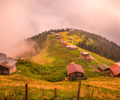 Pokut Plateau/Ç:HEMŞİN.