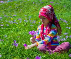 YAYLA GÜZELİ