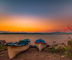 Gölyazı
