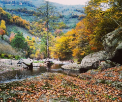 Mevsim artık sonbahar