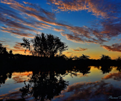 Colorful sunset