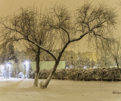 Kış Masalı - The Winter's Tale