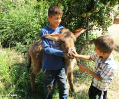 Bağgöze Köyü / SİİRT
