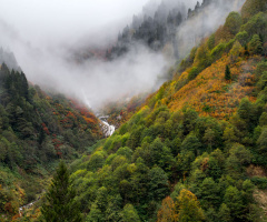 AYDER