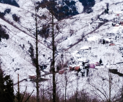 Ordu,çiseli şelalesi