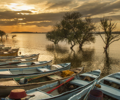 Gõlyazı
