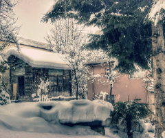 Rize den