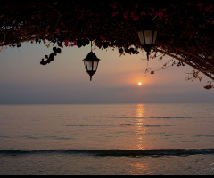 the Sunrise