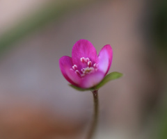 one