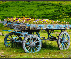 Spring car