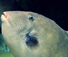 kiss me :)
