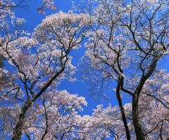 under sky