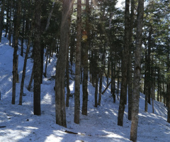 Sun shining …