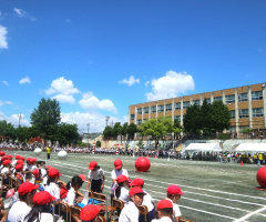 Sports day