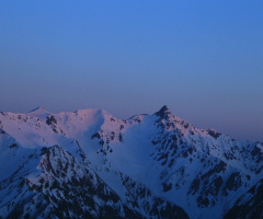 early in the morning