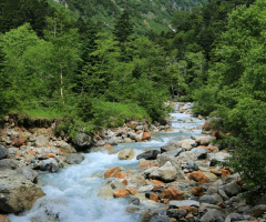 wild river