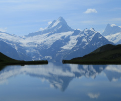 reflection