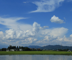 Summer cloud