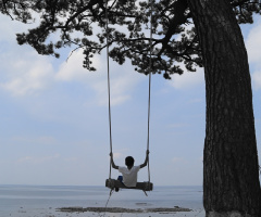Summer memory