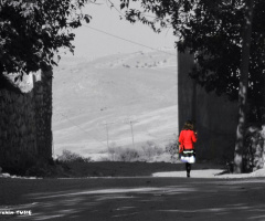 Sessiz Yol (Yeşilkonak Köyü / SİİRT - KURTALAN)