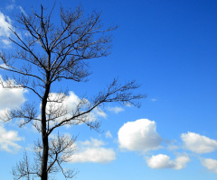 Clouds…