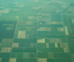 Patchwork