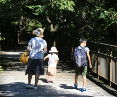 Taking for a walk