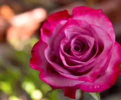 Good Day To All