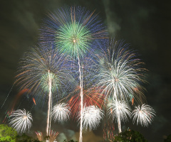 Fireworks