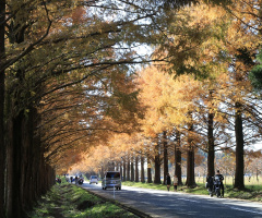 Avenue