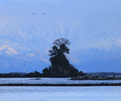 Island