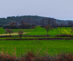 Yarı Kış Yarı Bahar