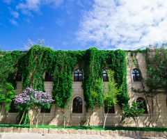 SARMAŞIK