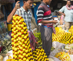 Flower Market -2