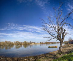 Uluabat Bursa