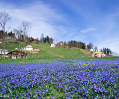 KADIRALAK