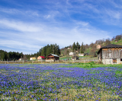 KADIRALAK
