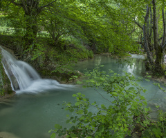 Yeşil Cennet
