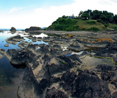 Ünye Çamlık Panorama 