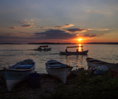 Gölyazı 