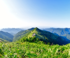 Kahvedüzü/Beşköy/Trabzon