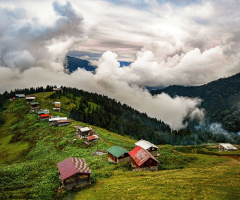 Pokut Yaylası. Ağustos 2018