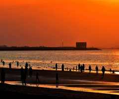 Blissful life at shore
